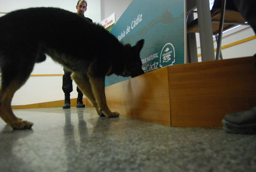 Curso canino de la Policía Nacional en San Fernando