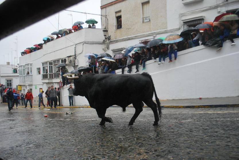 Toro de Arcos el Domingo de Resurrección