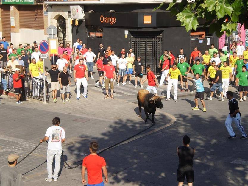 Toro de Cuerda de Grazalema en Chiva