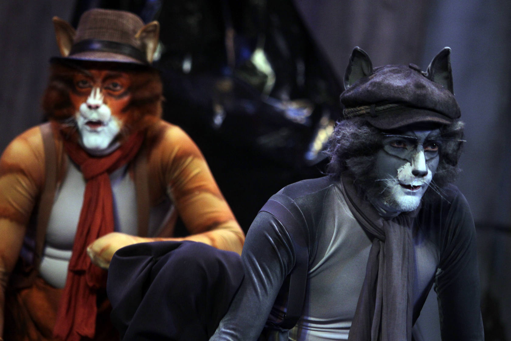 Comparsa Los gatos callejeros - Semifinales del Carnaval 2013