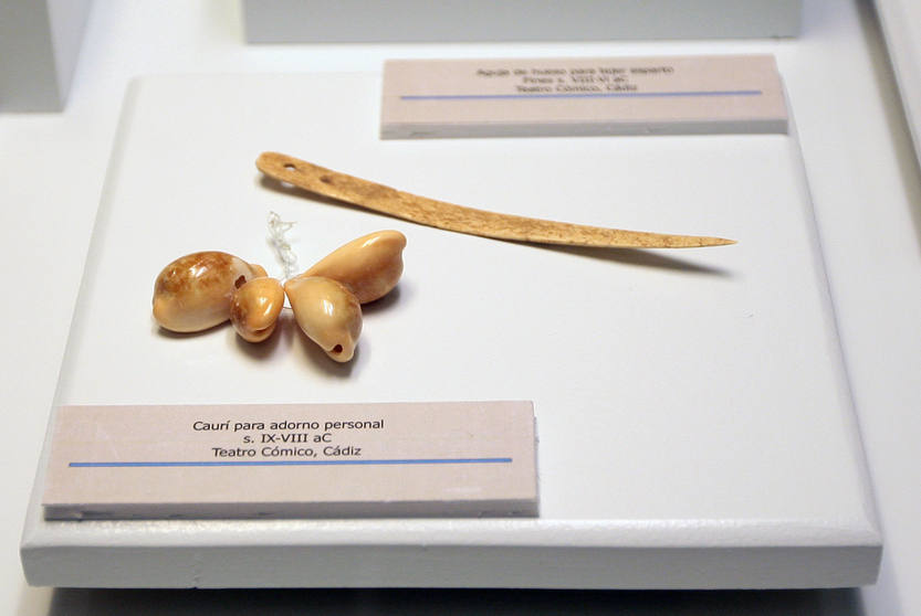 El Museo de Cádiz amplía su colección de piezas fenicias