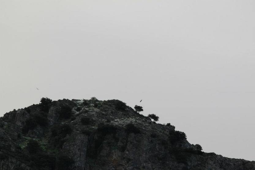 Primera nevada en la sierra gaditana