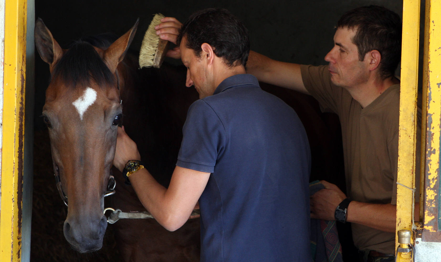 Achtung, el caballo que voló sobre el suelo de Madrid